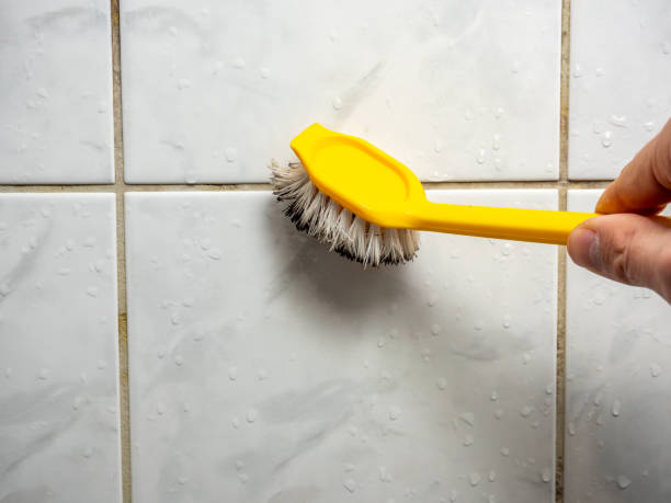 Best Mold Remediation for Specific Building Types in Landover, MD